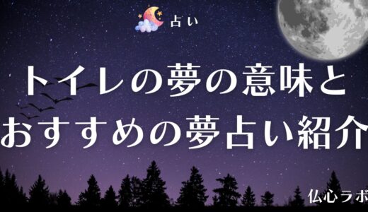 《夢占い》トイレの夢は運気や全体運アップの兆し？漏らす・詰まるなど30のケースを解説