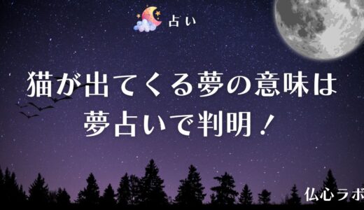 《夢占い》猫が出てくる夢の意味は？色や模様・シチュエーション別に解説！