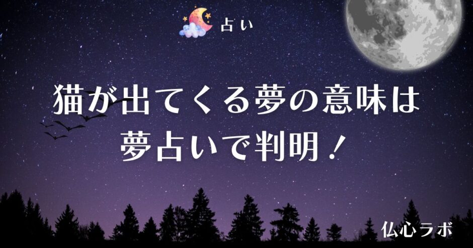 夢占い 猫　アイキャッチ