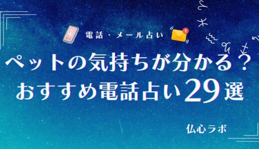 電話占いでペットの気持ちを完全理解！当たる占い師や亡くなったペットの気持ちを読める先生は？