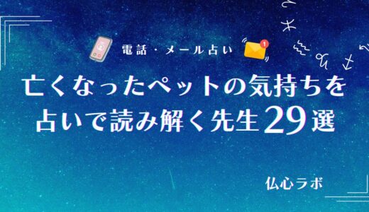 亡くなったペットの気持ちを占いで読み解く先生29選！天国からのメッセージや会いに来るタイミング・ペットロスを解消しよう