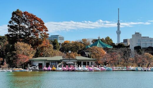 上野の占いおすすめTOP20！星ひとみ先生のお店や恋愛・霊視に強い予約なし店も紹介