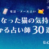 亡くなった猫の気持ち　アイキャッチ