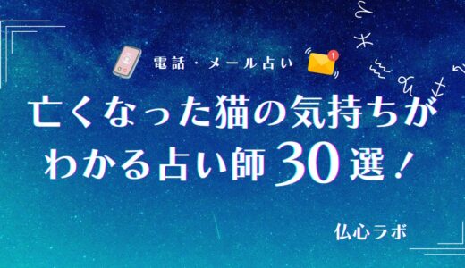 亡くなった猫の気持ち4パターン！恋しい猫に会う方法や死後の不思議な現象も解説