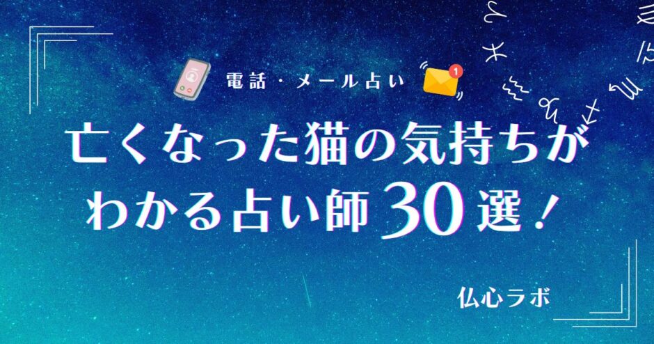 亡くなった猫の気持ち　アイキャッチ