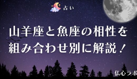 山羊座と魚座の基本相性とは？組み合わせ別に相性の良さを徹底解説
