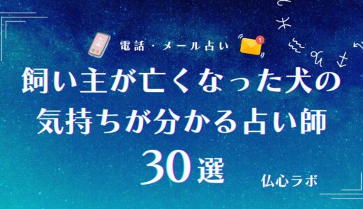 飼い主が亡くなった犬の気持ちとは？典型的なサインや癒す方法を解説
