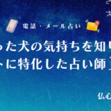 亡くなった犬の気持ちを知りたい　アイキャッチ