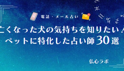 亡くなった犬の気持ちを知りたい人必見！伝えたかった想いや飼い主が試すべき方法