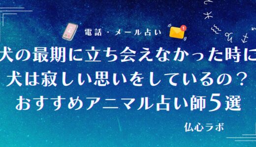 犬の最期に立ち会えなかった時に犬は寂しい思いをしているの？看取れずに後悔している人は必見