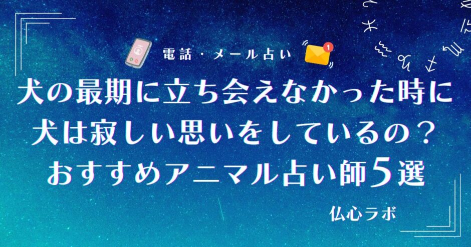 犬の最期に立ち会えなかった時 犬は 寂しい　アイキャッチ