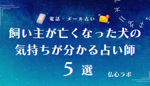 飼い主が亡くなった犬の気持ちとは？典型的なサインや癒す方法を解説