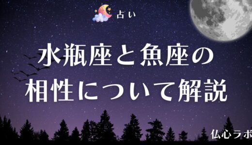 水瓶座と魚座の相性度は◯%！恋愛・仕事・友人などジャンルごとに相性を詳しく解説！