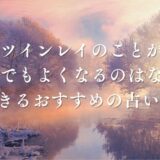 ツインレイ どうでもよくなる